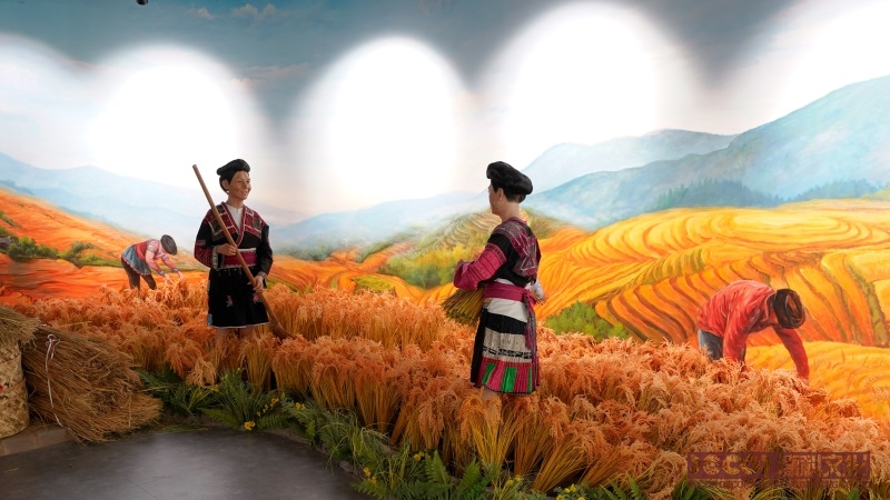 展馆设计平面布局有哪些创新形式？